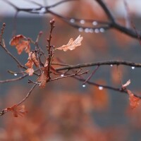 14830989_1920_1080_25fps